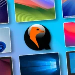 Biểu tượng QEMU cùng các hệ điều hành phổ biến như Windows, macOS, Linux được hỗ trợ bởi Quickemu.