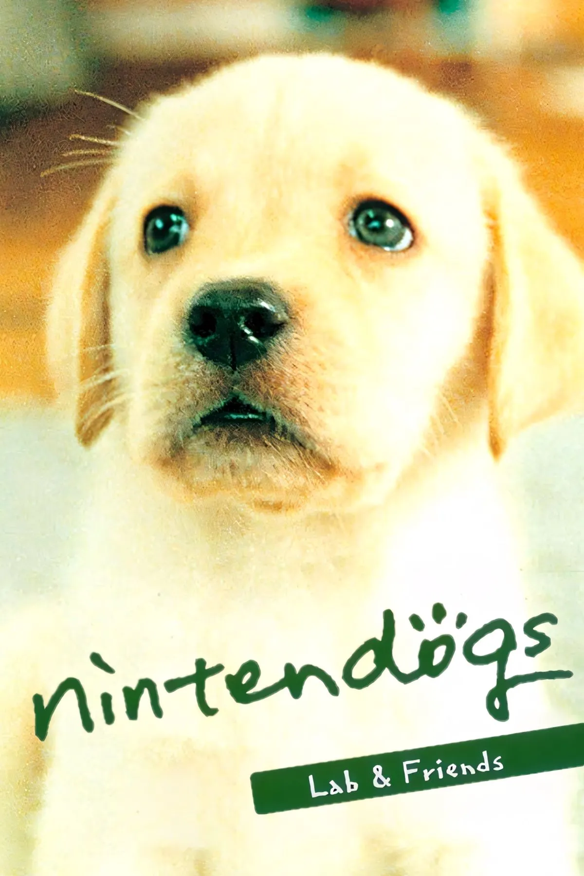 Hình ảnh các chú chó con dễ thương trong game mô phỏng thú cưng Nintendogs.