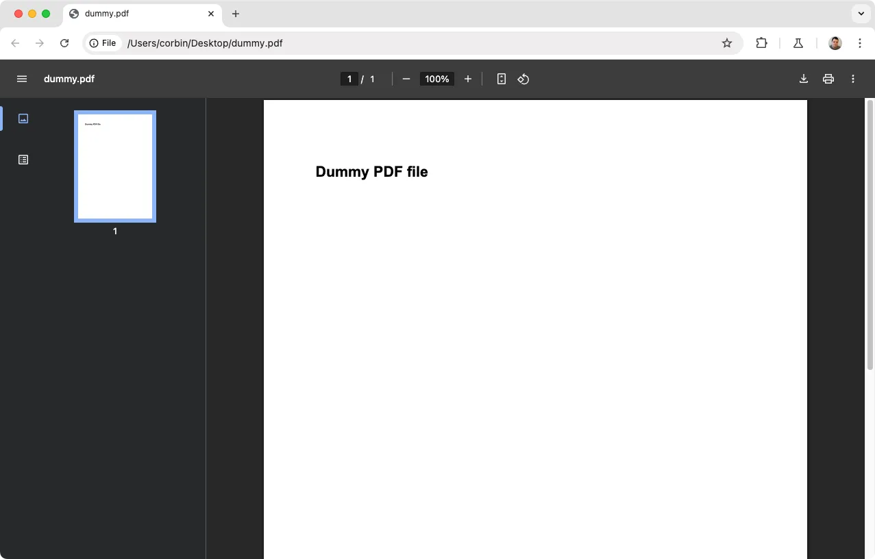 Một tài liệu PDF đang được hiển thị trong cửa sổ trình duyệt Google Chrome, thể hiện khả năng mở và quản lý file PDF cục bộ của trình duyệt.
