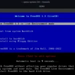 QEMU chạy FreeDOS và màn hình cài đặt