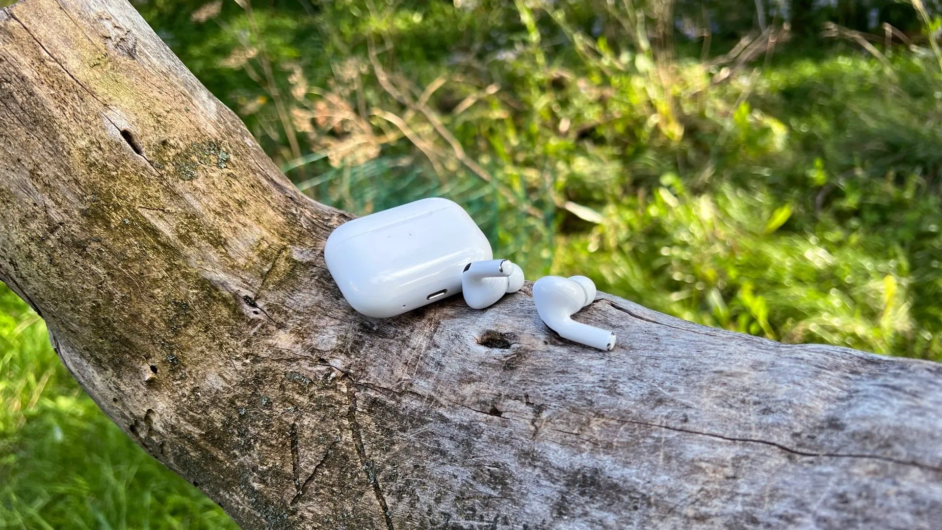 Tai nghe Apple AirPods Pro 2nd Gen và hộp sạc đặt trong lá cây, nhấn mạnh tính di động và thân thiện với môi trường