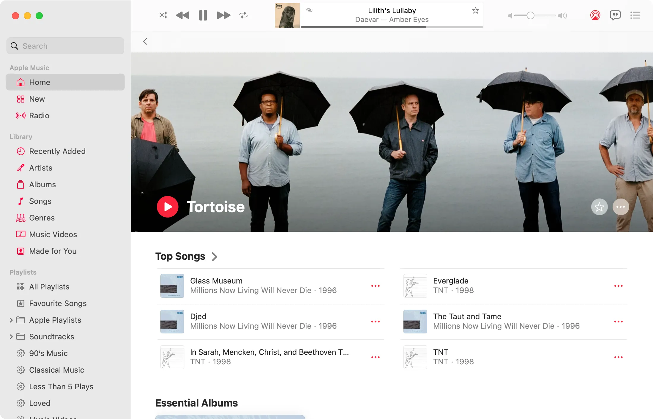 Trang thông tin nghệ sĩ Tortoise trên Apple Music, hiển thị toàn bộ album có sẵn