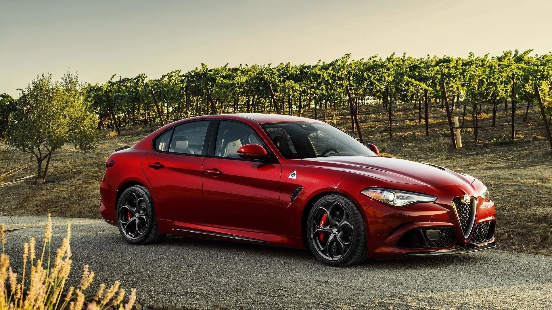 Alfa Romeo Giulia Quadrifoglio 2017 màu đỏ đậu trước vườn nho