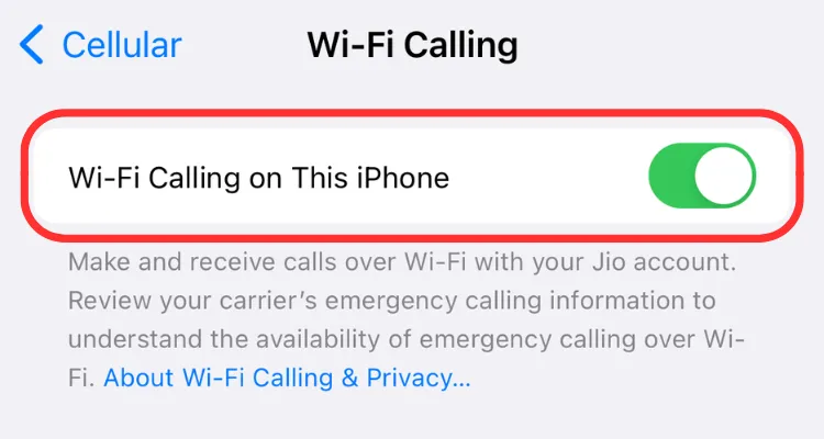 Ảnh chụp màn hình cài đặt Wi-Fi Calling trên iPhone, hiển thị tùy chọn bật hoặc tắt tính năng gọi qua Wi-Fi.