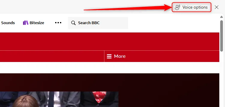 Biểu tượng tùy chọn giọng đọc Đọc to trong Microsoft Edge.