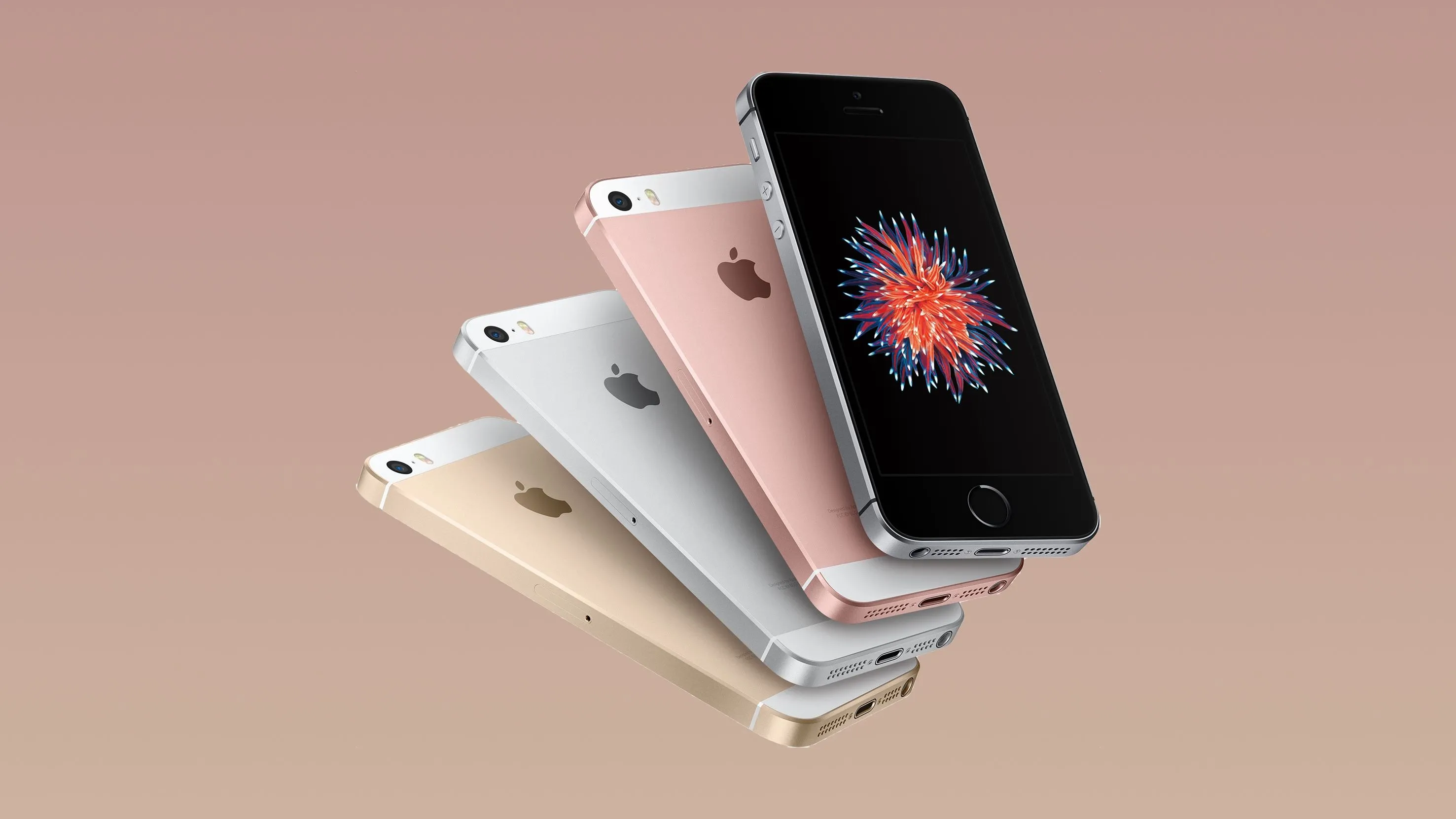 Bốn chiếc iPhone SE thế hệ đầu tiên (2016) với các màu sắc khác nhau, xếp hình quạt.