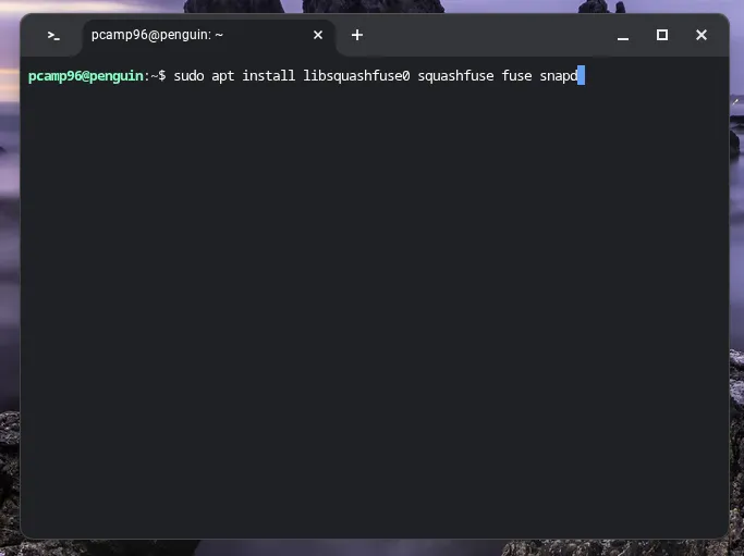 Cài đặt công cụ Snap thông qua terminal Linux trên Chromebook.