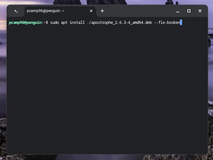 Cài đặt gói .deb thủ công bằng lệnh apt trong môi trường Linux trên Chromebook.