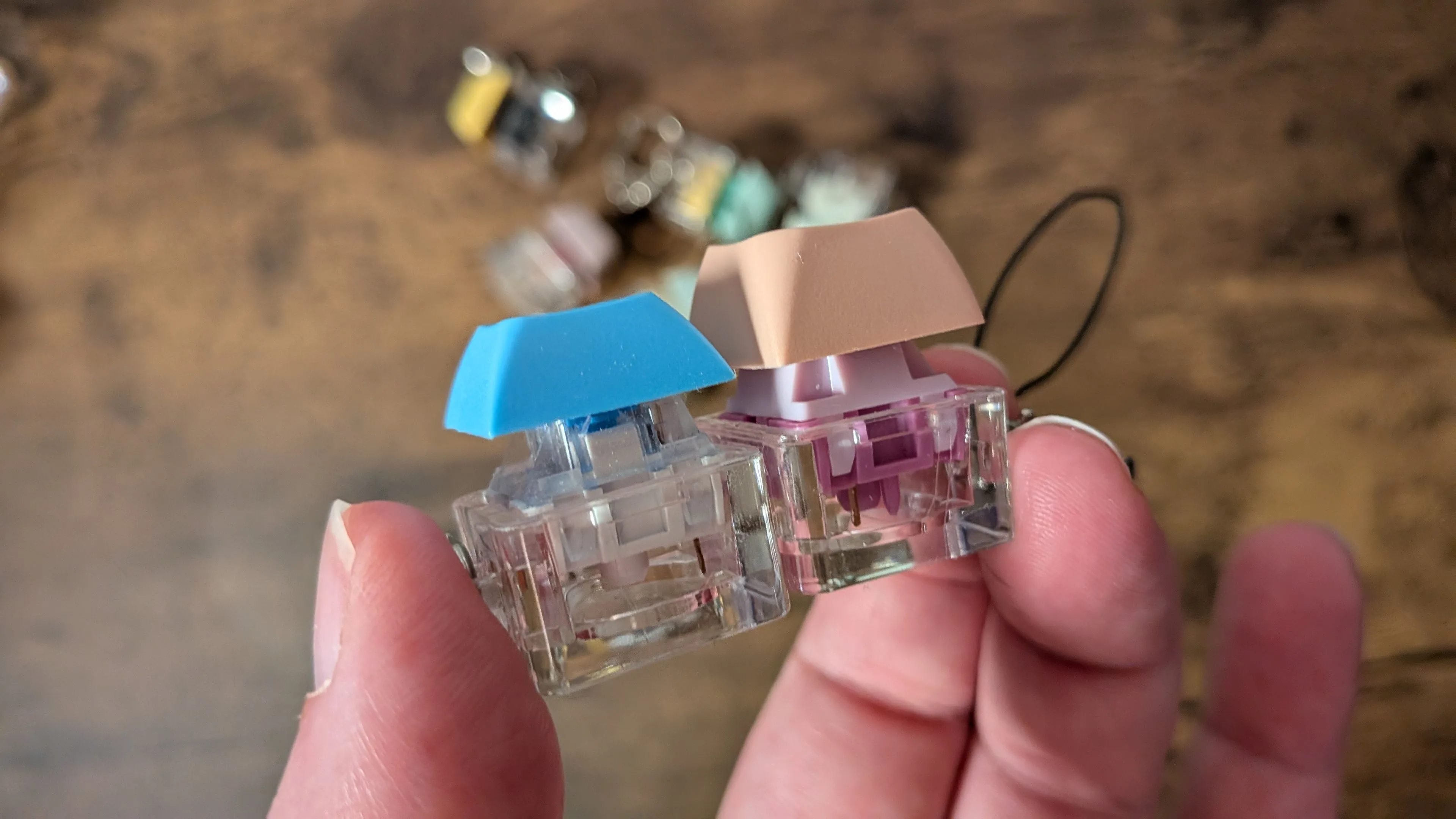 Cận cảnh hai móc khóa switch bàn phím cơ, thể hiện sự đa dạng của các loại switch cơ học