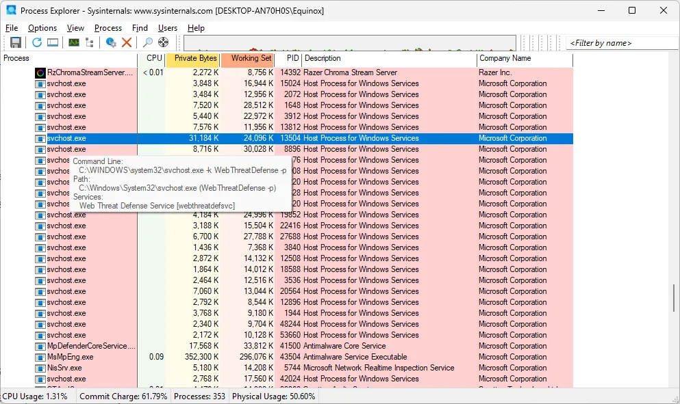 Chi tiết svchost.exe hiển thị trong Process Explorer