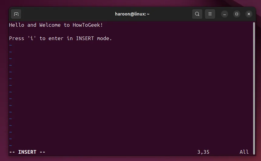 Giao diện trình soạn thảo văn bản Vim ở chế độ Insert để nhập nội dung vào file trong Linux