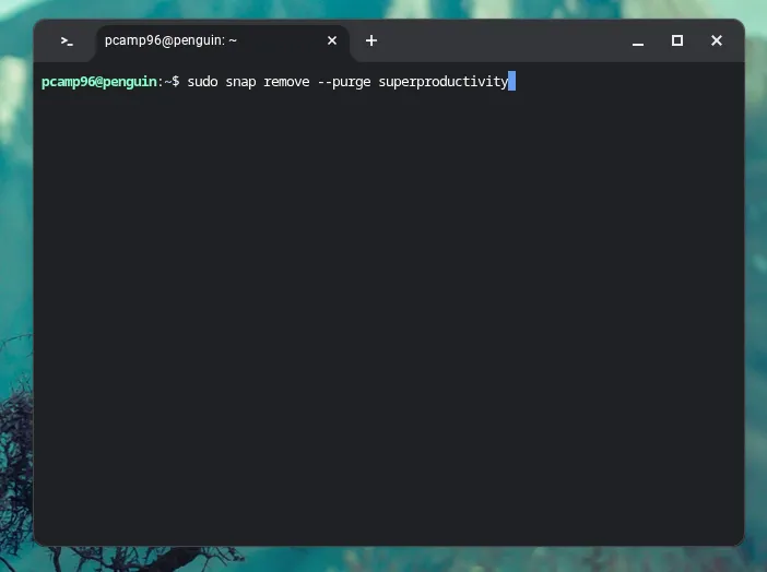 Gỡ cài đặt một ứng dụng bằng Snap trên Linux đang chạy trên Chromebook