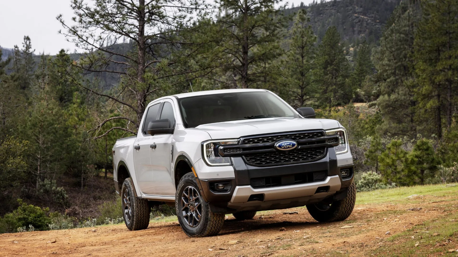 Hình ảnh xe bán tải Ford Ranger 2024, một trong những dòng xe phổ biến của Ford.