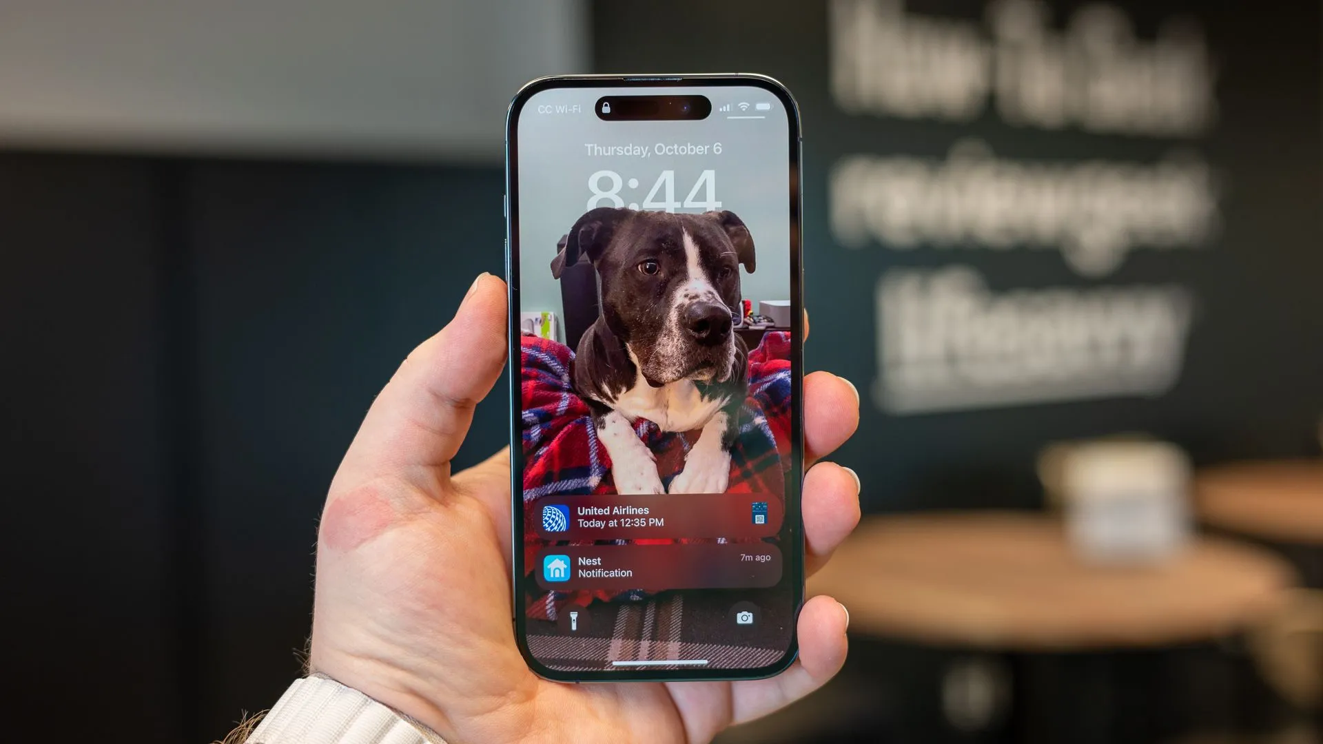 iPhone 14 Pro hiển thị màn hình chính, đại diện cho thiết bị cần tắt thông báo