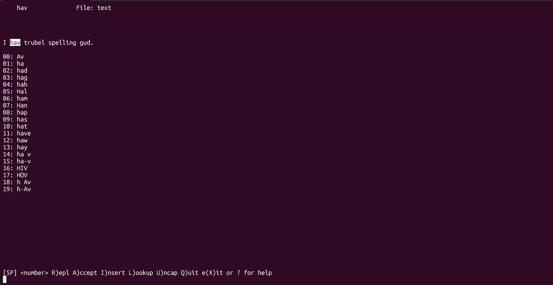 Lệnh ispell đang chạy trong terminal Linux để kiểm tra chính tả