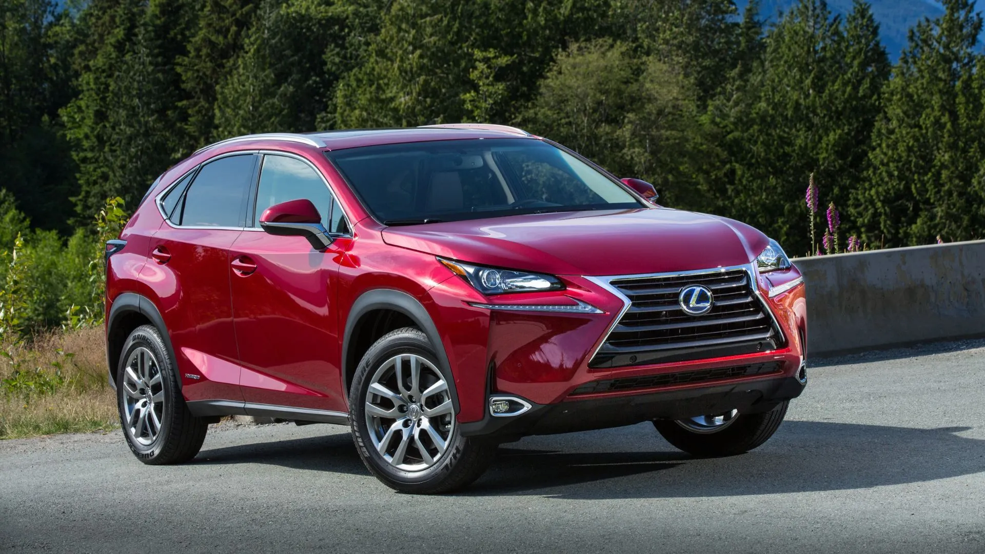 Lexus NX 300h 2019 màu đỏ sang trọng đỗ cạnh rừng cây, minh họa sự kết hợp giữa hiệu suất hybrid và tiện nghi cao cấp.