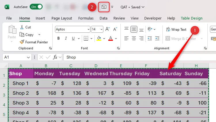 Một phần dữ liệu Excel được chọn và công cụ Camera trong Quick Access Toolbar được làm nổi bật.