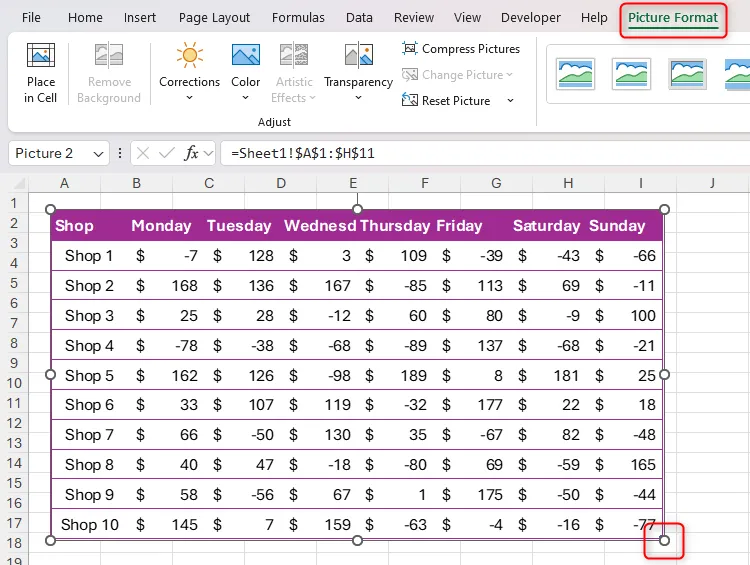 Một tập dữ liệu trong Excel được nhân đôi thông qua công cụ Camera, với tay cầm thay đổi kích thước và tab Picture Format được làm nổi bật.