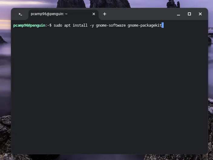Quá trình cài đặt ứng dụng bằng lệnh apt trong môi trường Linux trên Chromebook.