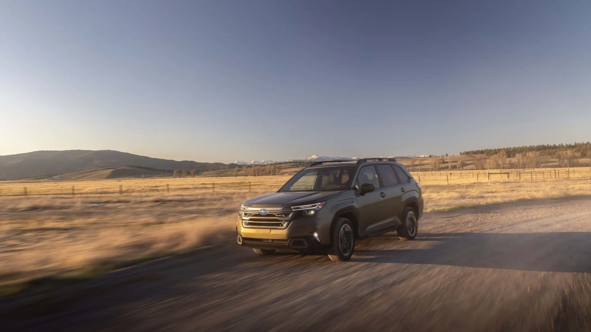 Subaru Forester 2025 đang vận hành, một trong những SUV phổ biến