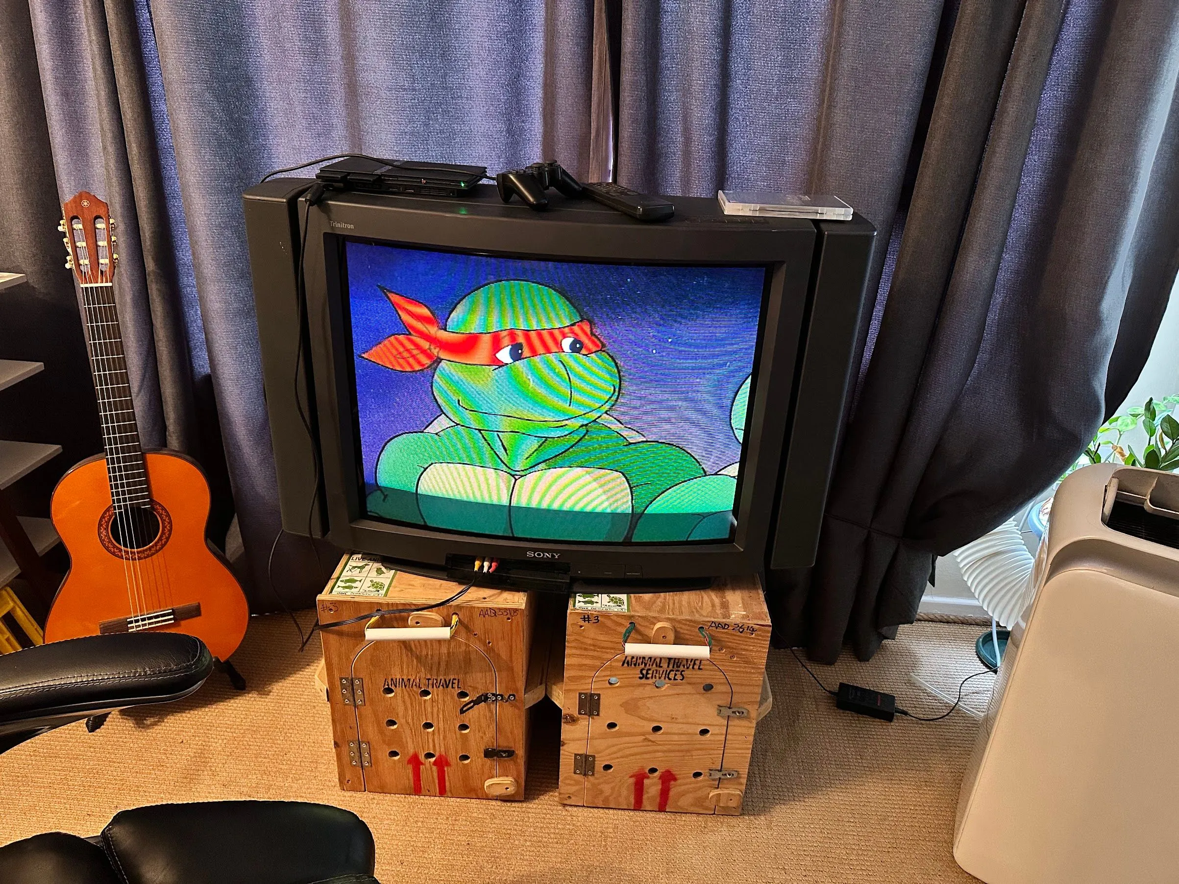 TV CRT Sony Trinitron 34 inch của tác giả đang chiếu hoạt hình Ninja Turtles
