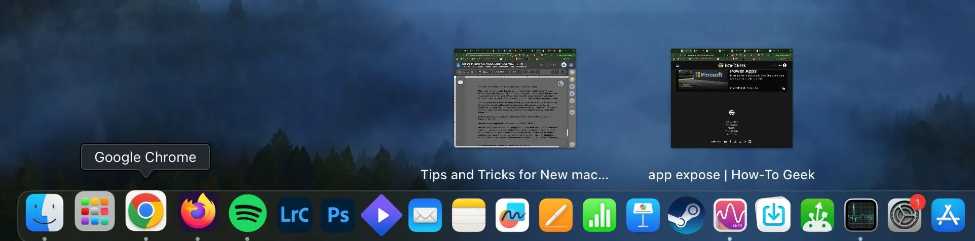 Xem trước cửa sổ thu nhỏ trong Dock của macOS sau khi kích hoạt qua Terminal.