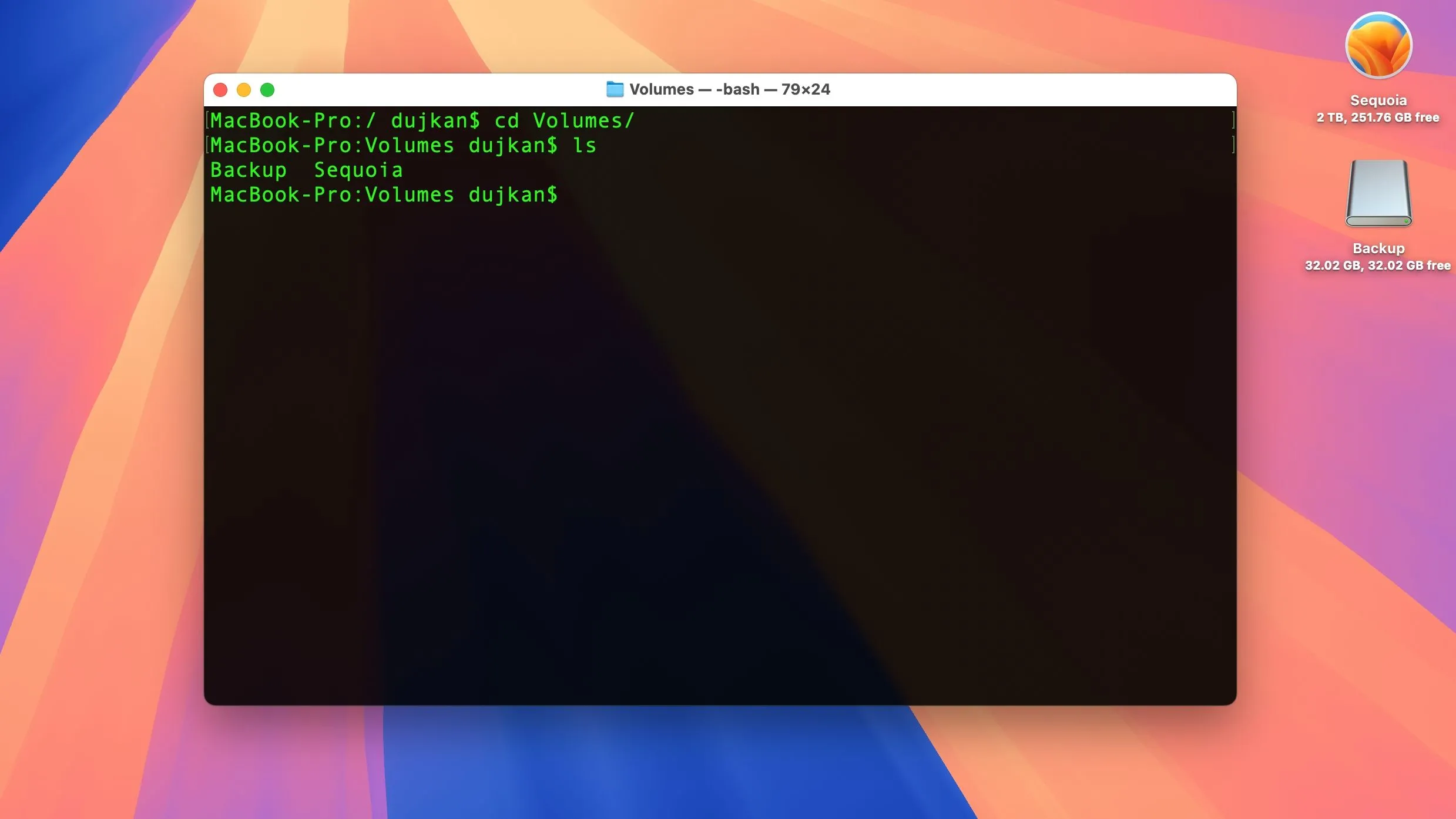 Cửa sổ Terminal trên macOS hiển thị danh sách các ổ đĩa và phân vùng được gắn kết