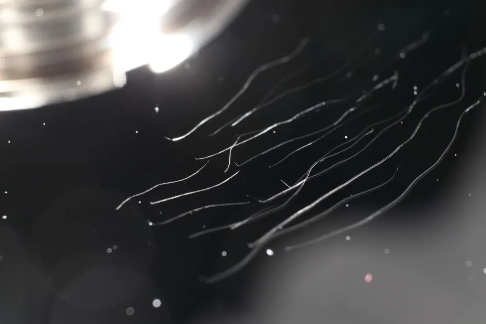 Bề mặt đĩa từ ổ cứng HDD bị trầy xước nghiêm trọng gây mất dữ liệu