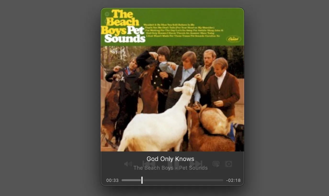 Chế độ trình phát nhạc của IINA với giao diện tối giản, hiển thị thông tin bài hát.