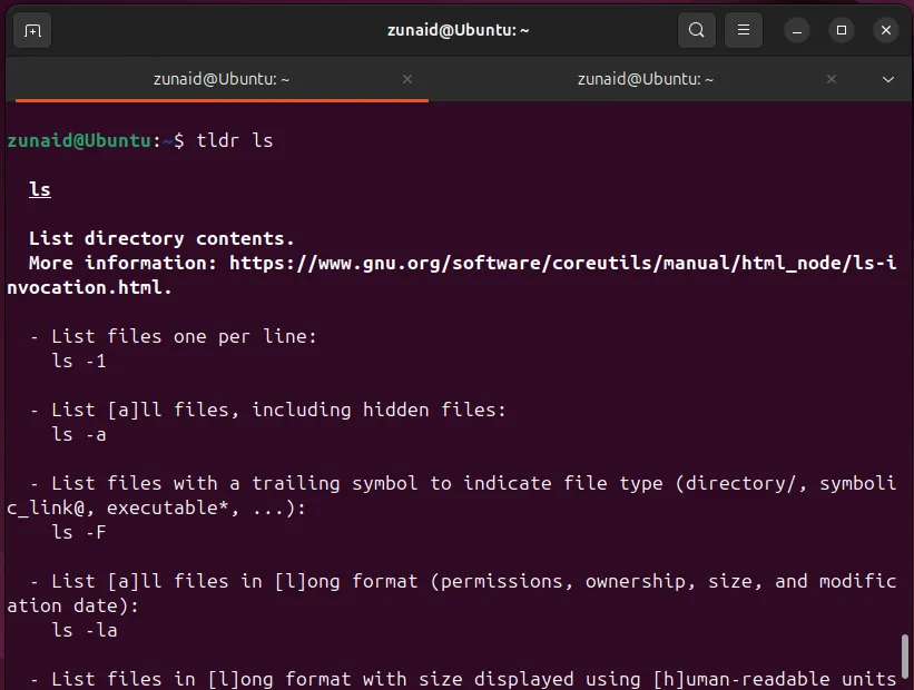 Giao diện tldr hiển thị ví dụ sử dụng lệnh ls một cách ngắn gọn, dễ hiểu