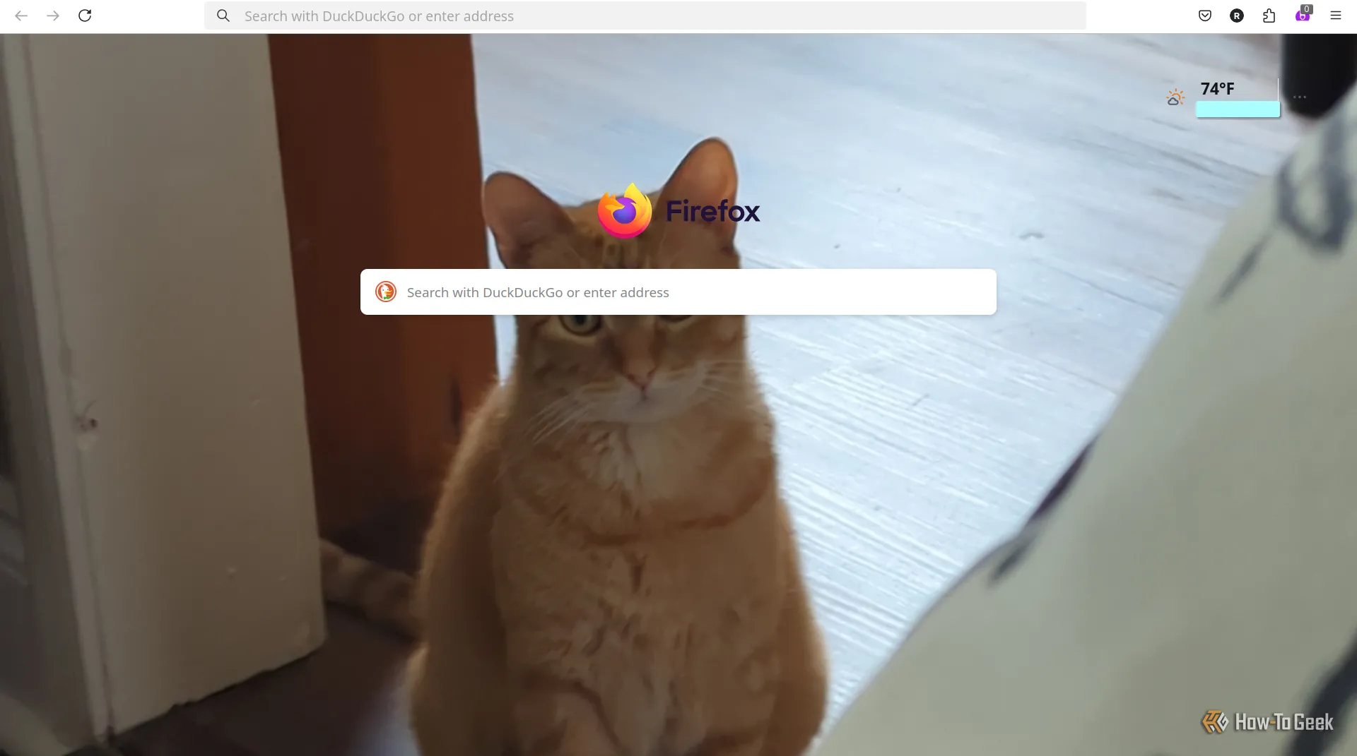 Màn hình tab mới của Firefox với hình nền tùy chỉnh ảnh chú mèo, minh họa tính năng cá nhân hóa giao diện