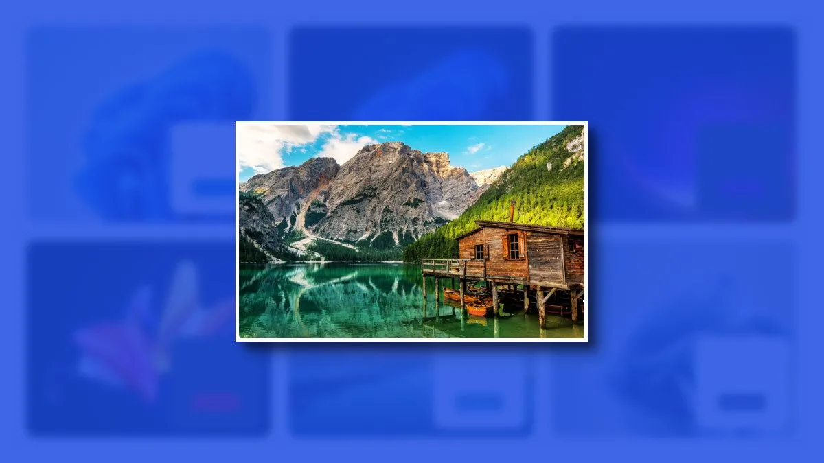 Tổng quan về các chủ đề (Themes) khác nhau trên Windows 11, bao gồm chế độ sáng và tối.